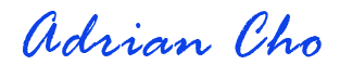 Chameleon Logo